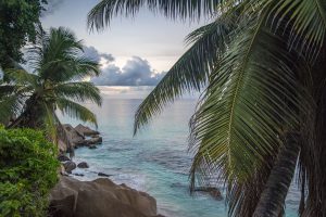 seychelles, landscape, sea - TOMER LEVI FOREX, TOMER LEVI optionXO, TOMER LEVI Wmoption, Tomer Levi PrimeCFD, 